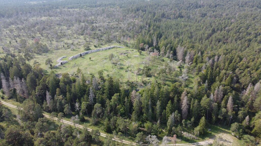 Herrgårdsklint, Gammelgarn (Gotland)