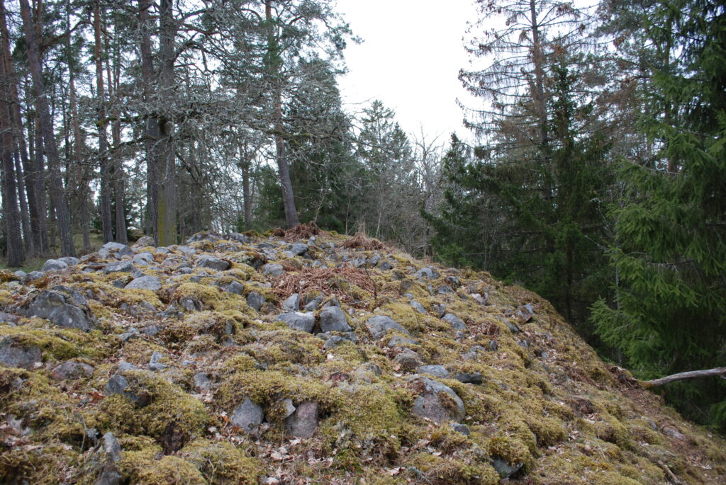 Tångestadsborgen, Norsholm (Östergötland)
