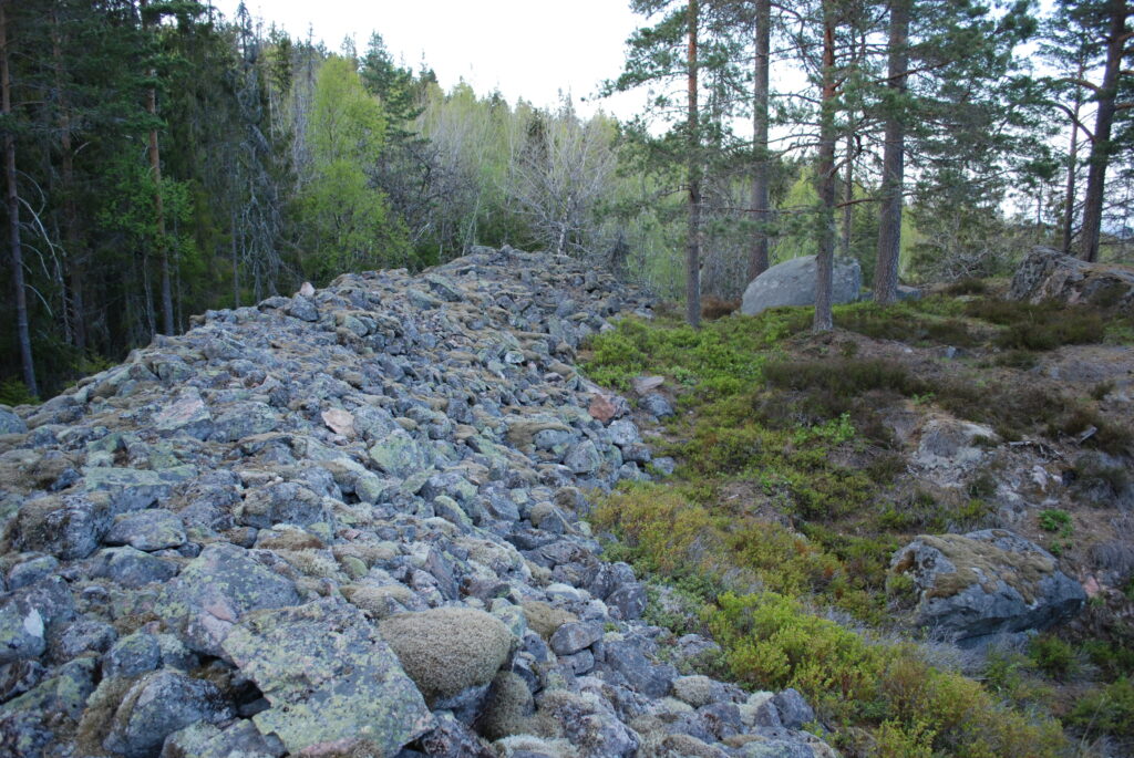 Borgaresjö skans, Mullhyttan (Närke)