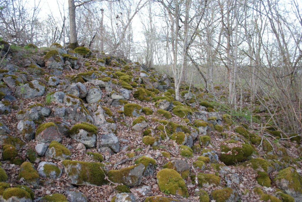 Visberget, Bettna (Sörmland)